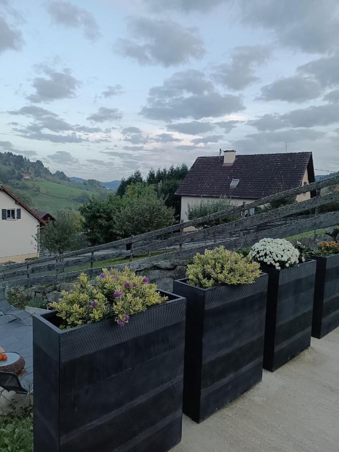 Gite Luxury A Soultzeren Екстериор снимка